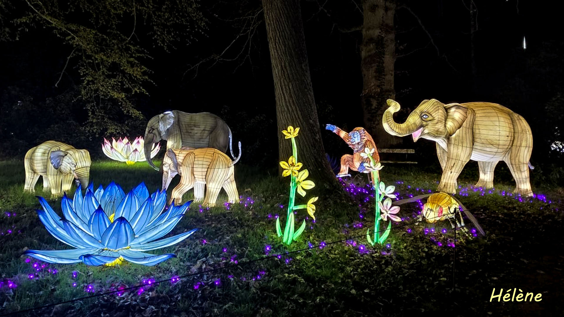 THOIRY -Illumination ,  Lumières sauvages 2025-2026